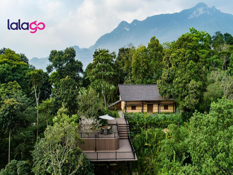 Khách sạn Flamingo Đại Hải
