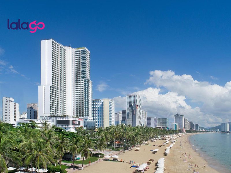 Khách sạn Flamingo Đại Hải