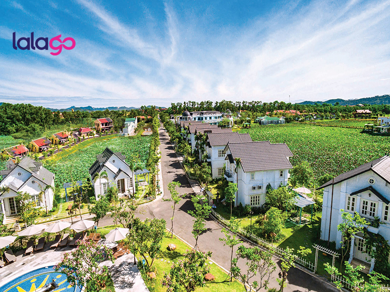 Khách sạn Flamingo Đại Hải