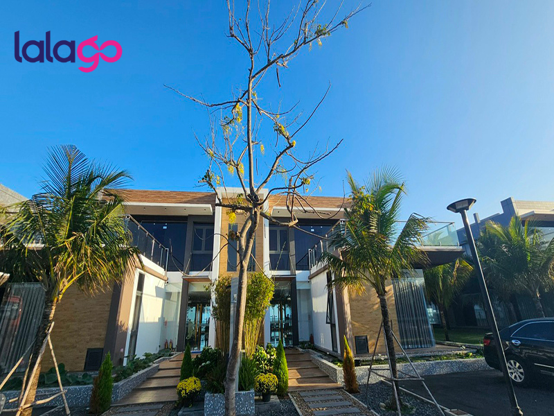 Khách sạn Flamingo Đại Hải