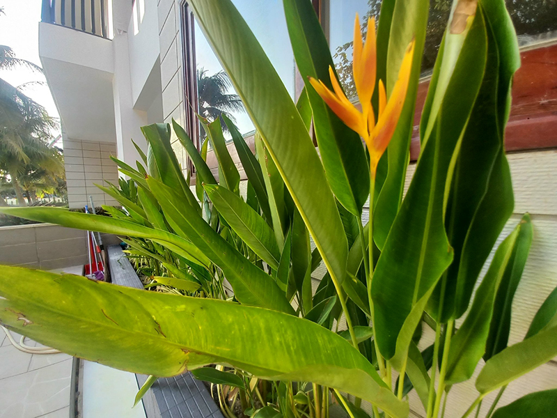Đỗ Khoa resort