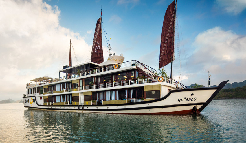 Orchid Classic sở hữu 14 cabin hạng sang, không gian riêng tư