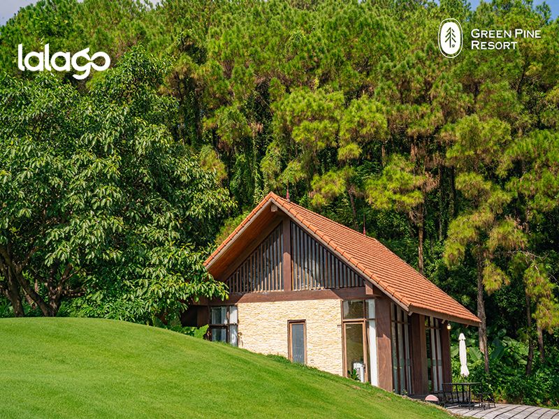 Khách sạn Flamingo Đại Hải