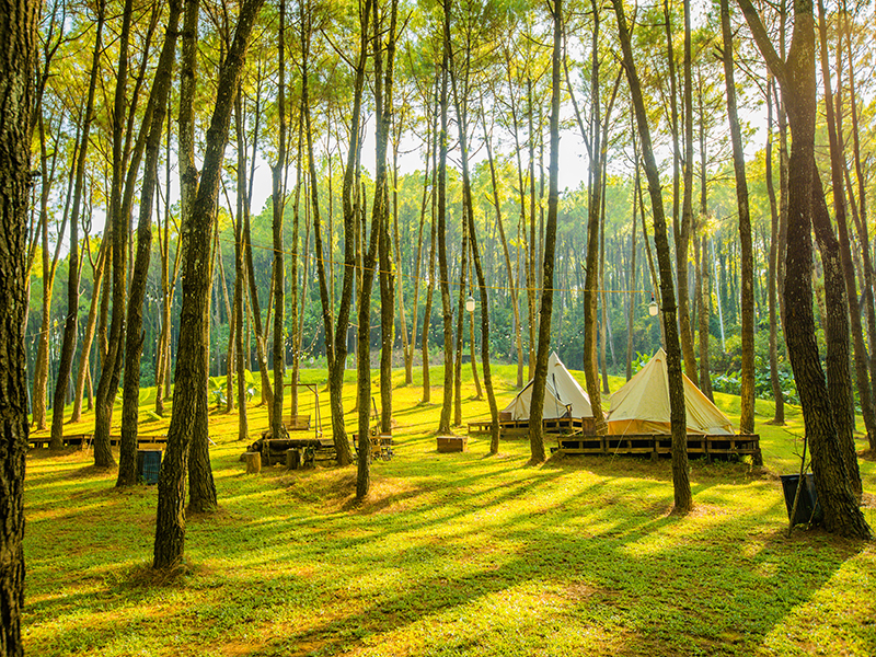Green Pine Resort/ Trang An Golf & Resort