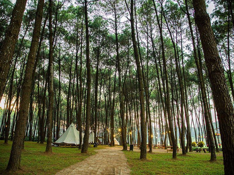 Green Pine Resort/ Trang An Golf & Resort