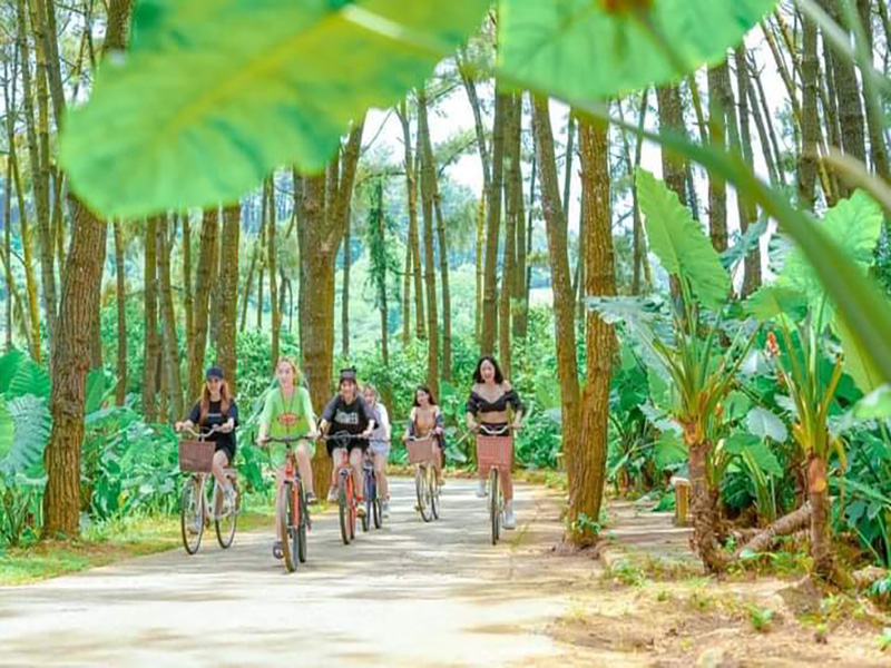 Green Pine Resort/ Trang An Golf & Resort