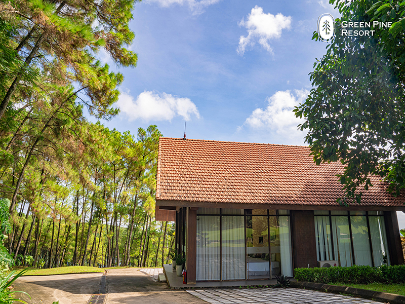 Khách sạn Flamingo Đại Hải