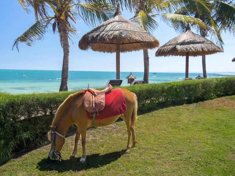 Victoria Phan Thiet Beach Resort & Spa