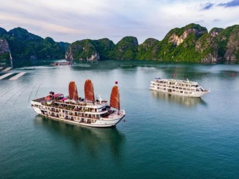 Một vài lưu ý bạn cần biết khi du lịch trên du thuyền Alisa Premier