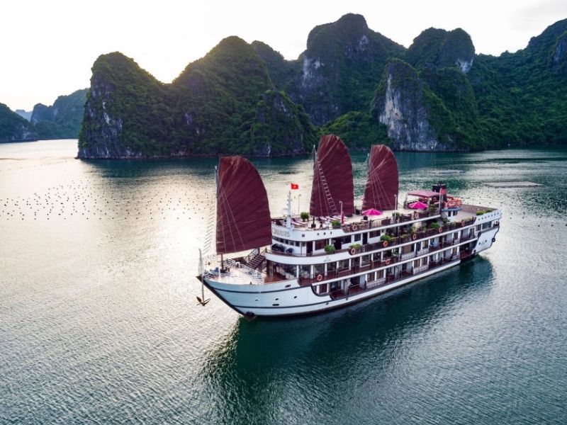 Du thuyền Alisa Premier được nhiều du khách đánh giá là một lựa chọn đáng tin cậy khi du lịch vịnh Hạ Long