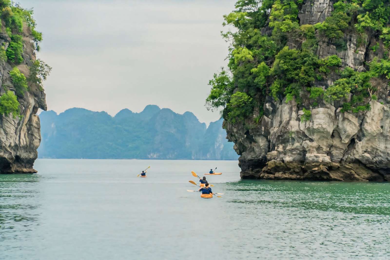 Khám phá du thuyền Grand Pioneers 6 sao đẳng cấp, hành trình độc đáo và nghỉ dưỡng xa hoa giữa vịnh di sản.