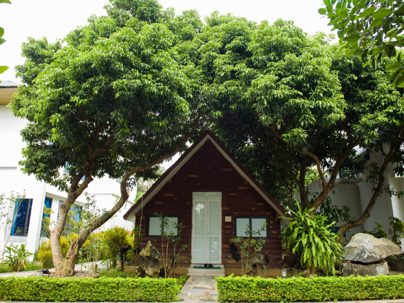 Phòng Deluxe 2 người
