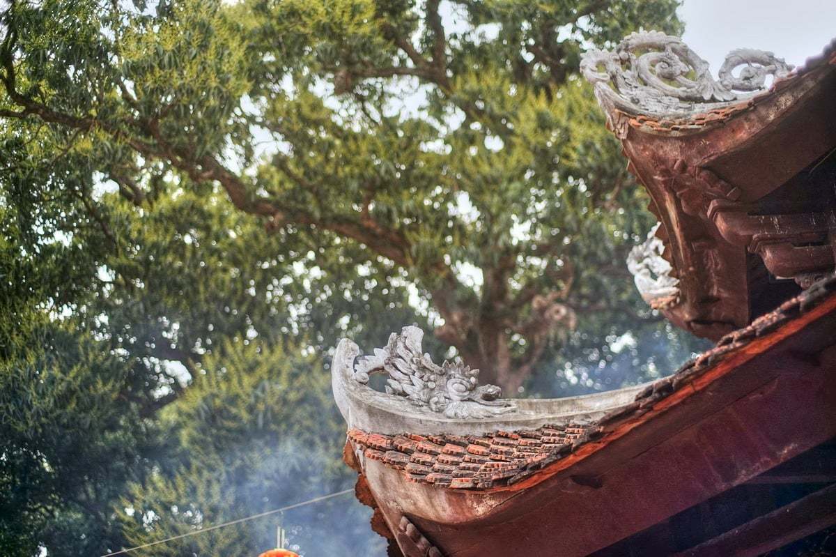 Chùa Láng - Thời gian mở cửa