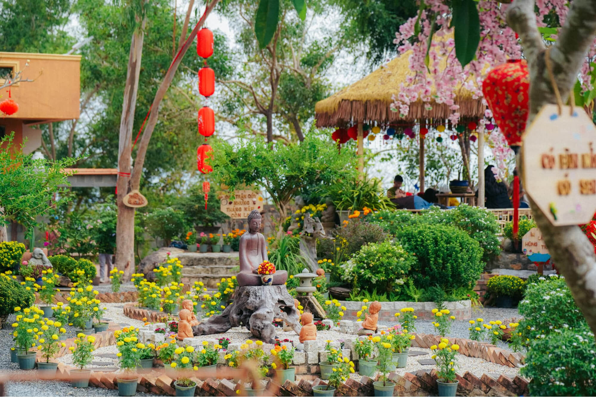 Chiêm ngưỡng khuôn viên xanh ở chùa Quan Âm