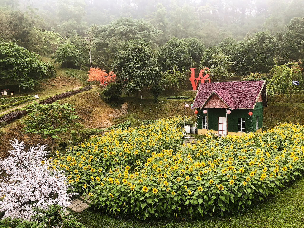 Không gian thiên nhiên yên bình, thơ mộng