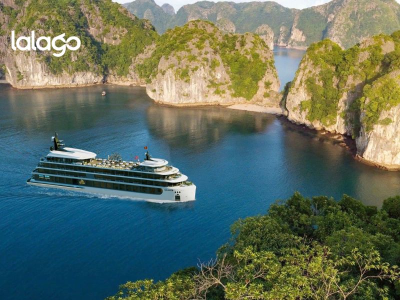 Khách sạn Flamingo Đại Hải
