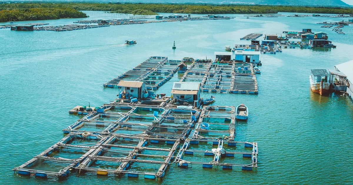 Lễ hội Trùng Cửu