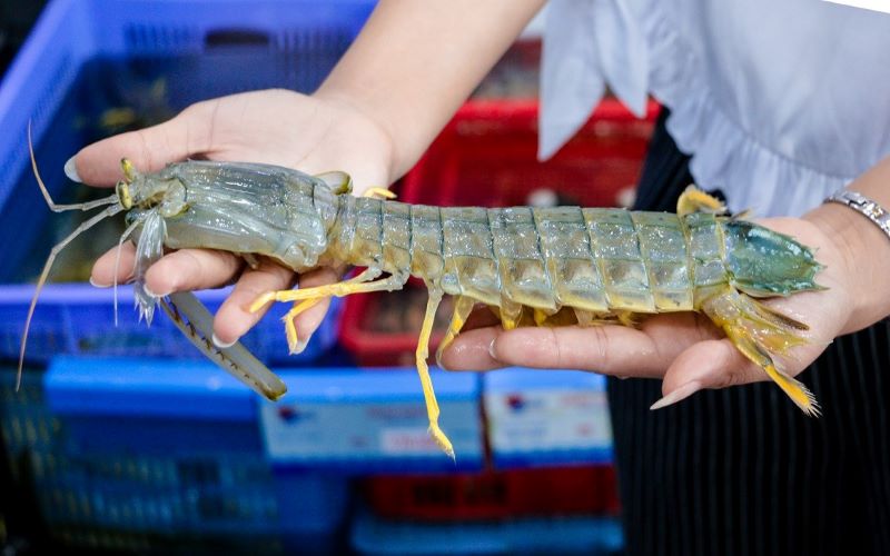 Bánh canh bề bề Vũng Tàu