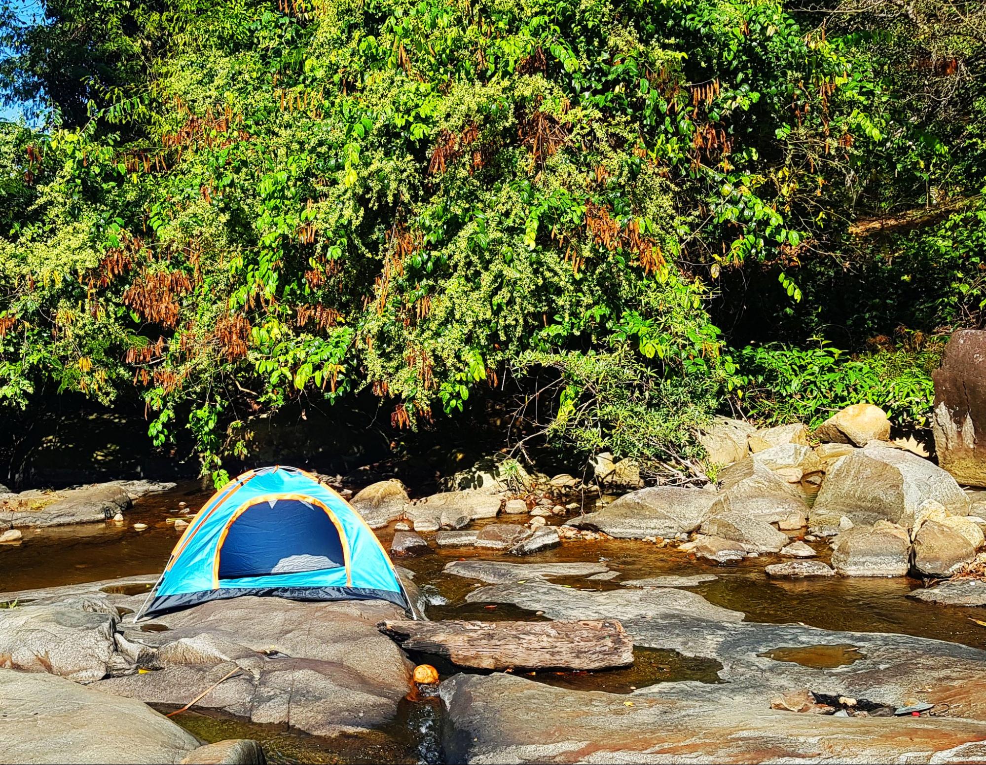 Rừng Tà Pứa điểm camping Phan Thiết hòa mình với thiên nhiên