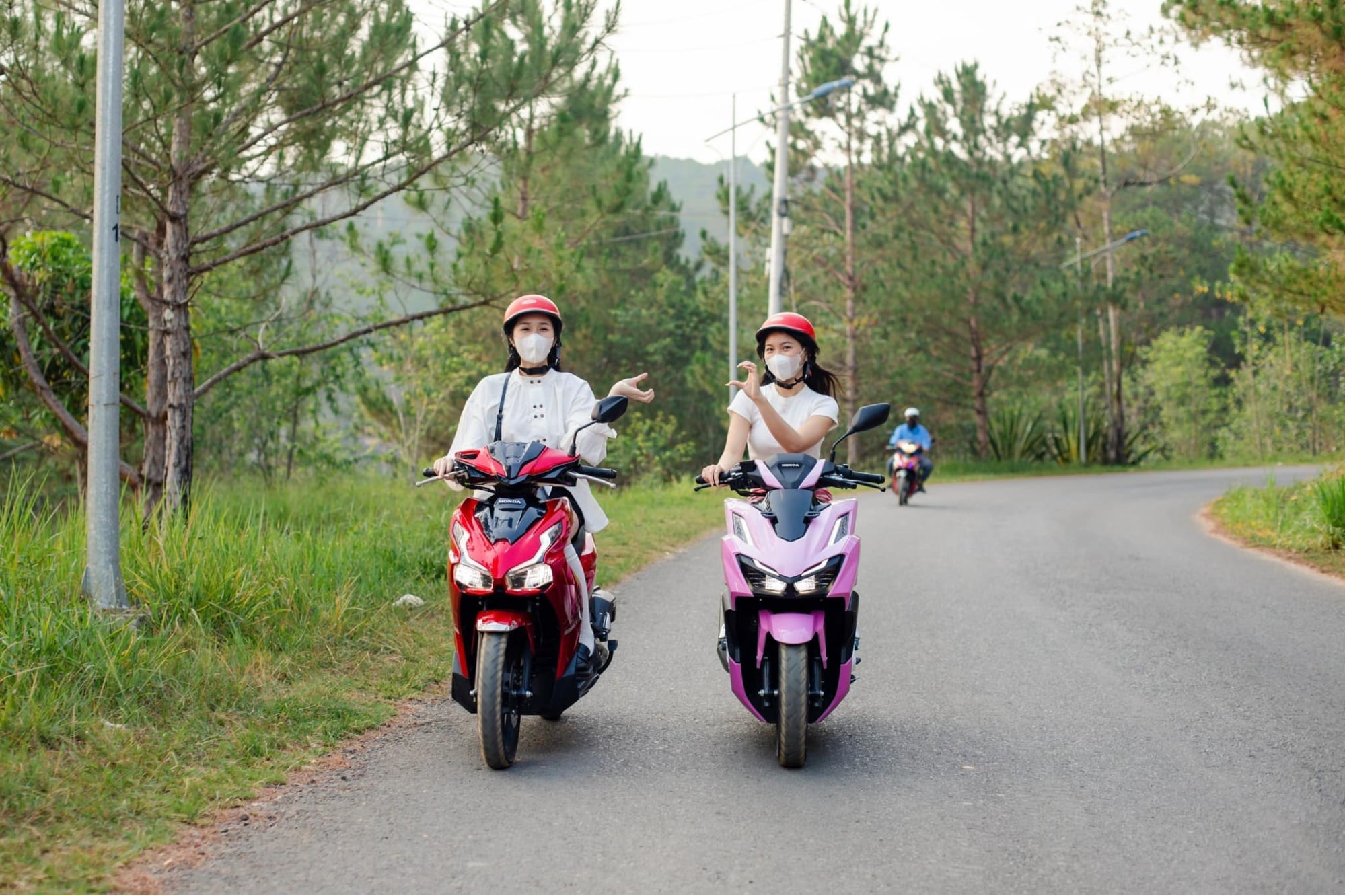 Cung đường lên chùa Linh Sơn