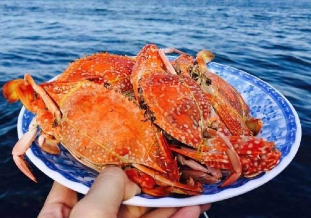 Ghẹ Hàm Ninh ngọt tự nhiên, thịt chắc