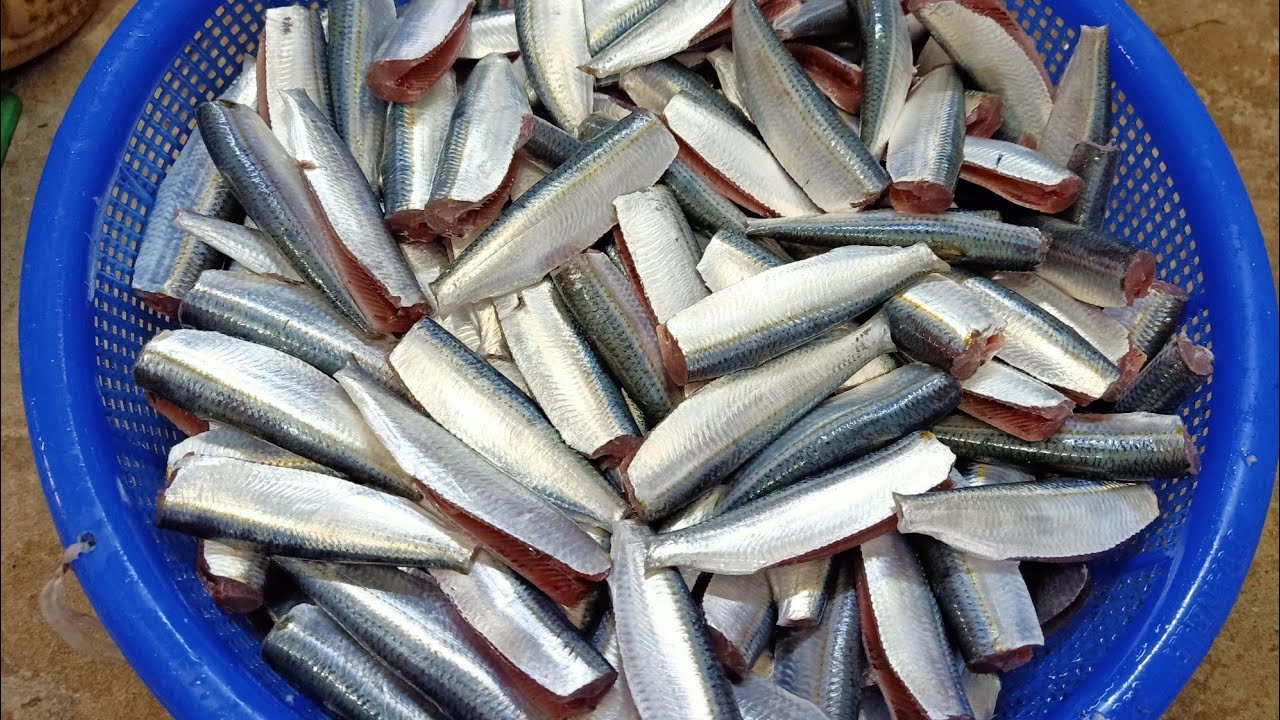 Gỏi cá trích Vũng Tàu