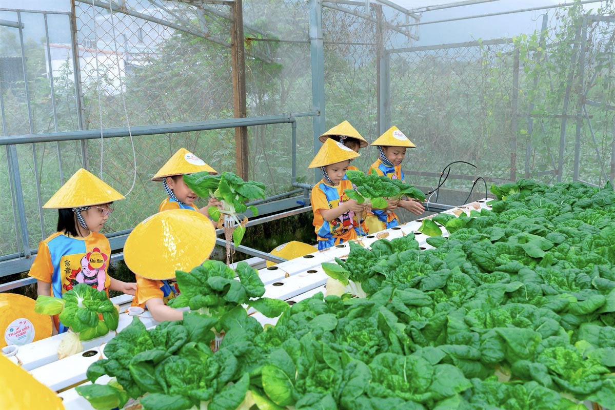 Bảo An Farm – khu vui chơi trẻ em Phan Thiết nổi tiếng