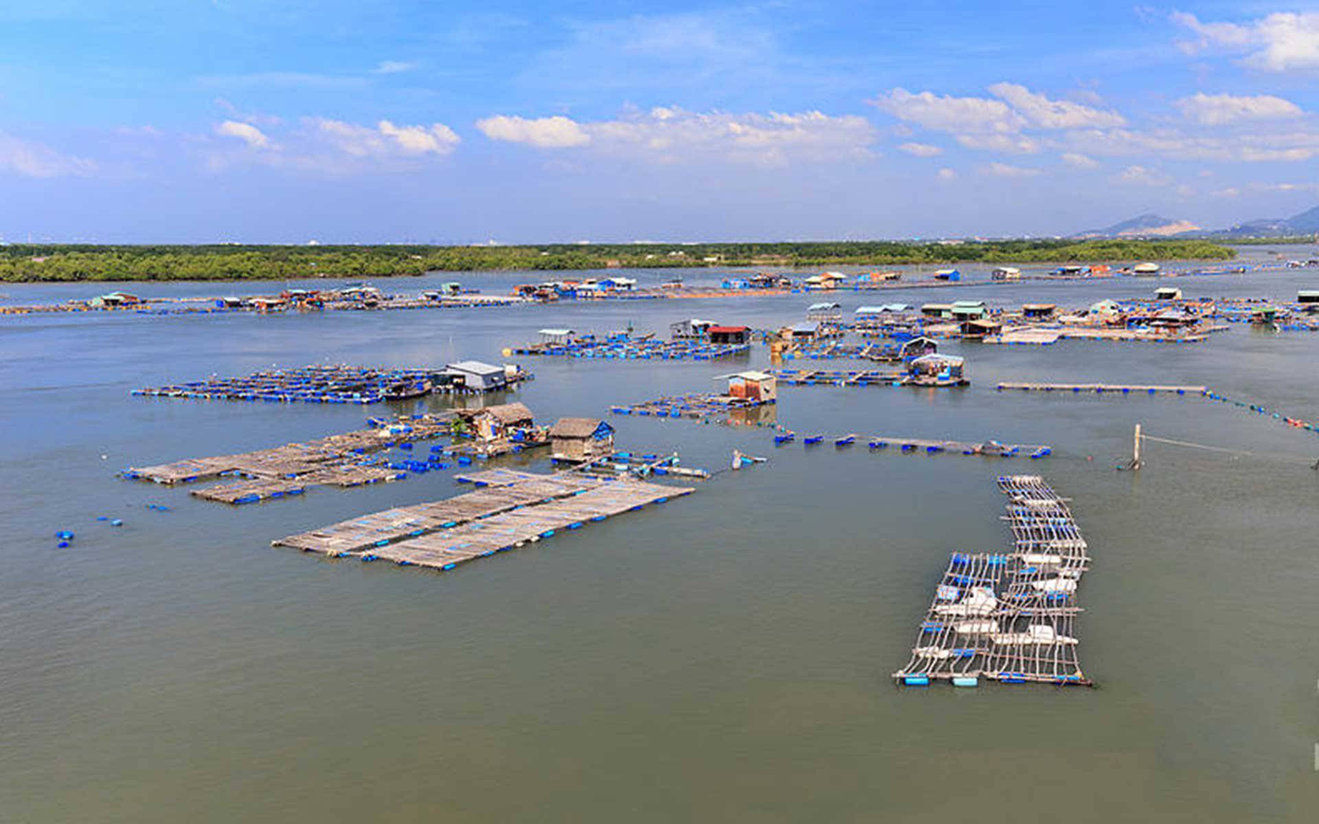 Đảo Long Sơn yên bình với làng bè