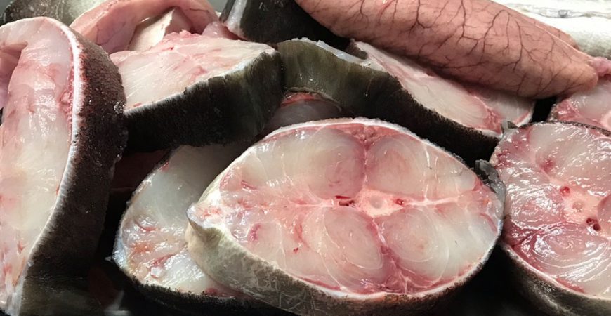Lẩu cá bớp Vũng Tàu