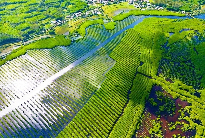 Khám phá Bàu Cá Cái 4 mùa đều đẹp