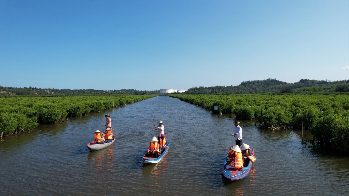 Ngồi thuyền ngắm cảnh thiên nhiên hoang dã