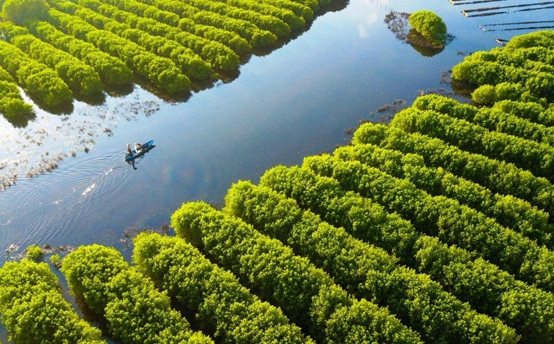 Hành trình di chuyển đến Bàu Cá Cái cực dễ dàng