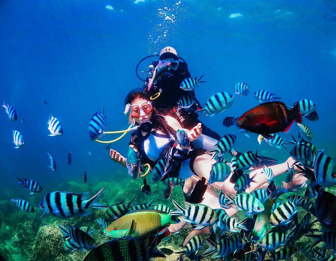 Trải nghiệm lặn ngắm san hô tại đảo Yến Nha Trang