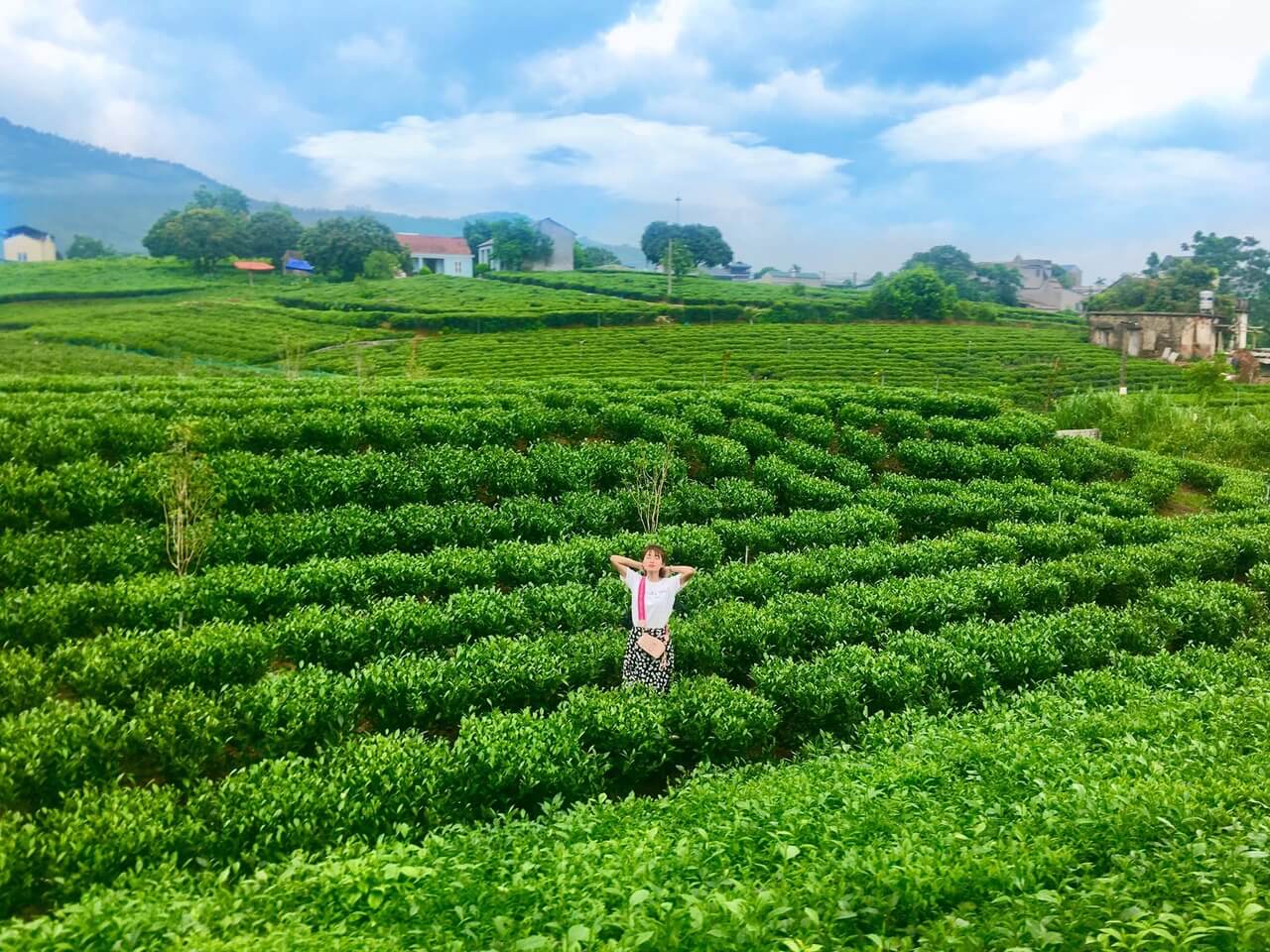 Tận hưởng không gian trong lành, yên tĩnh tại đồi chè Gia Nghĩa