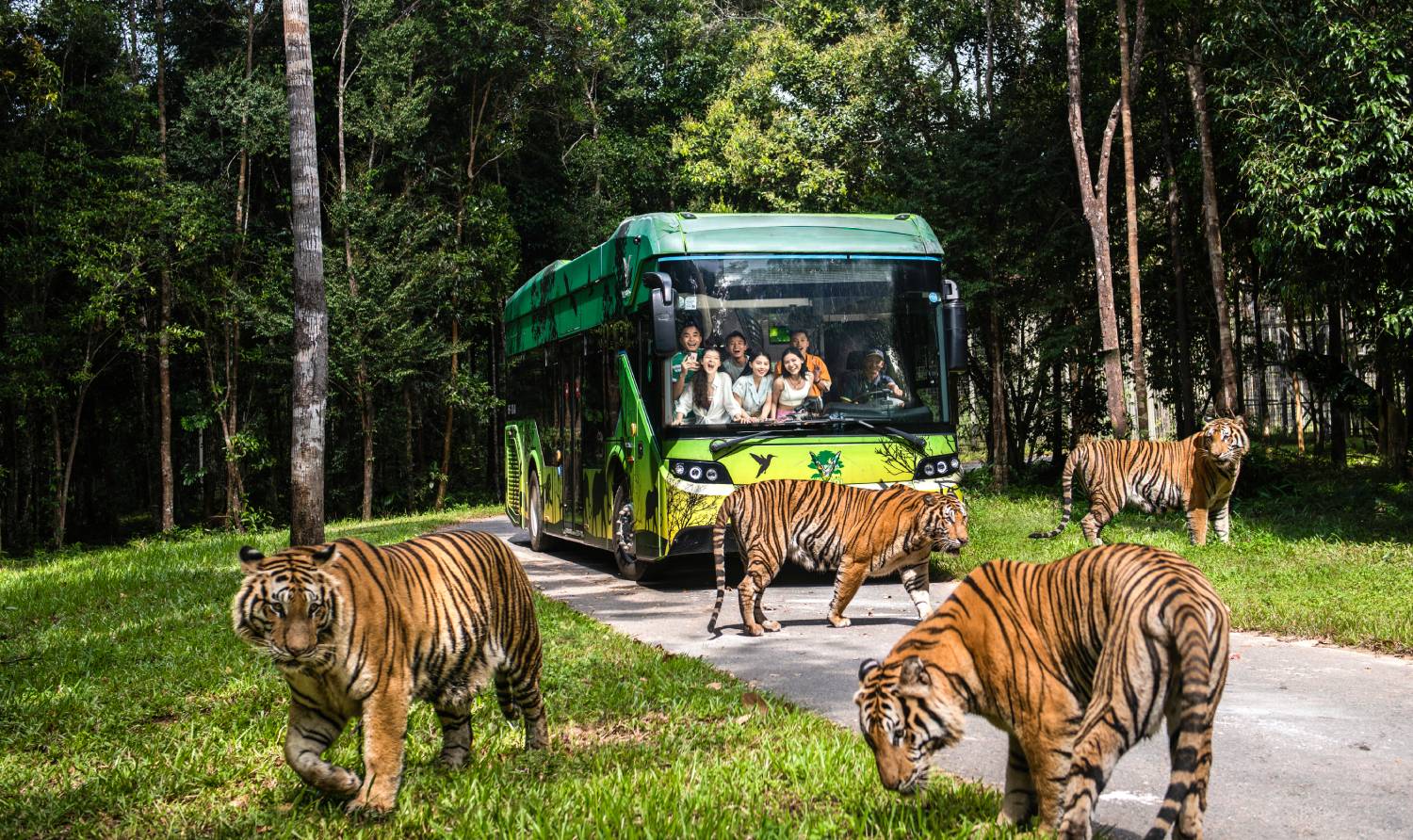 Tham quan vườn thú Safari Vinpearl tại Phú Quốc