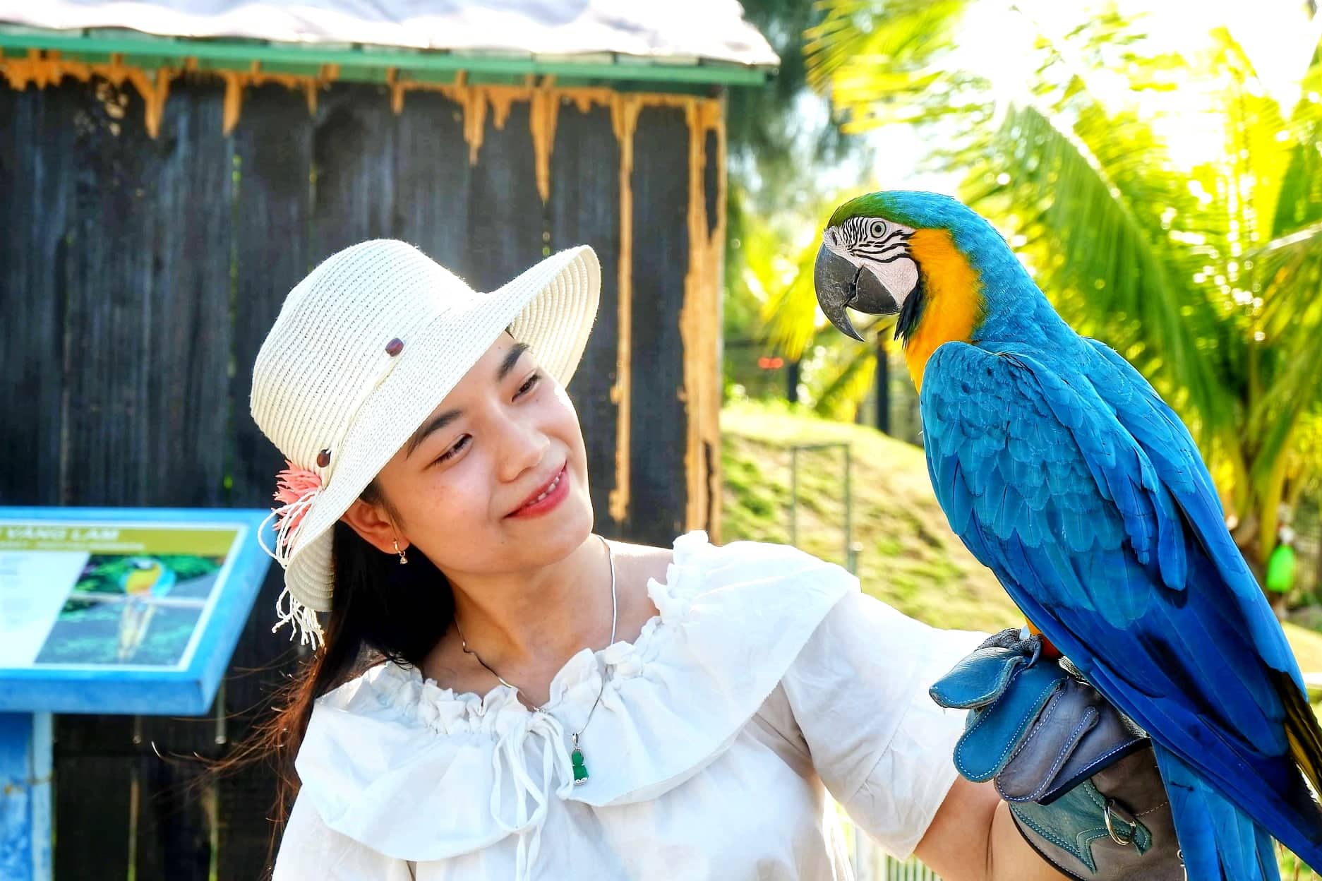 Du khách check in với chú vẹt nhiều màu tại FLC Safari