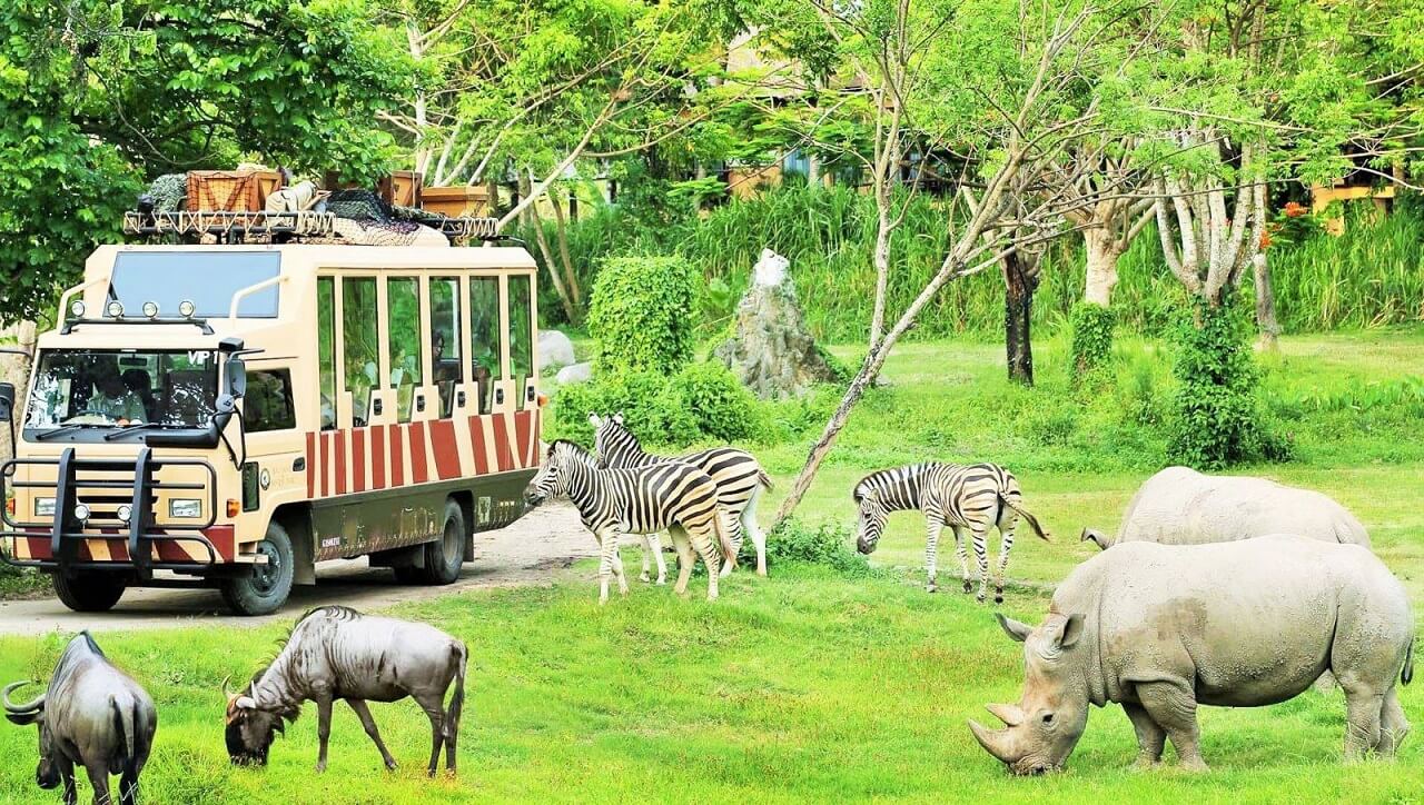 Các loài động vật hoang dã thoải mái sinh sống tại FLC Safari