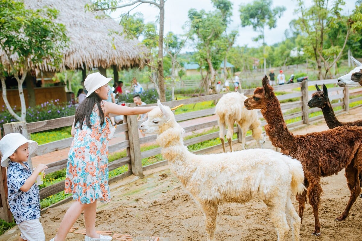 Trẻ em trải nghiệm cho các loài thú hiền lành ăn