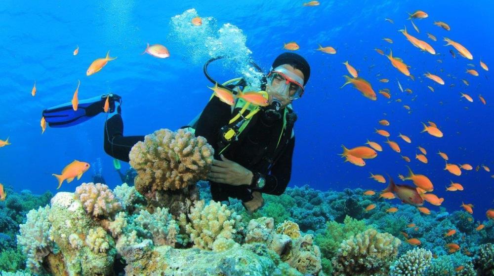 Du khách thích thú trải nghiệm lặn ngắm san hô tại đảo Hòn Một