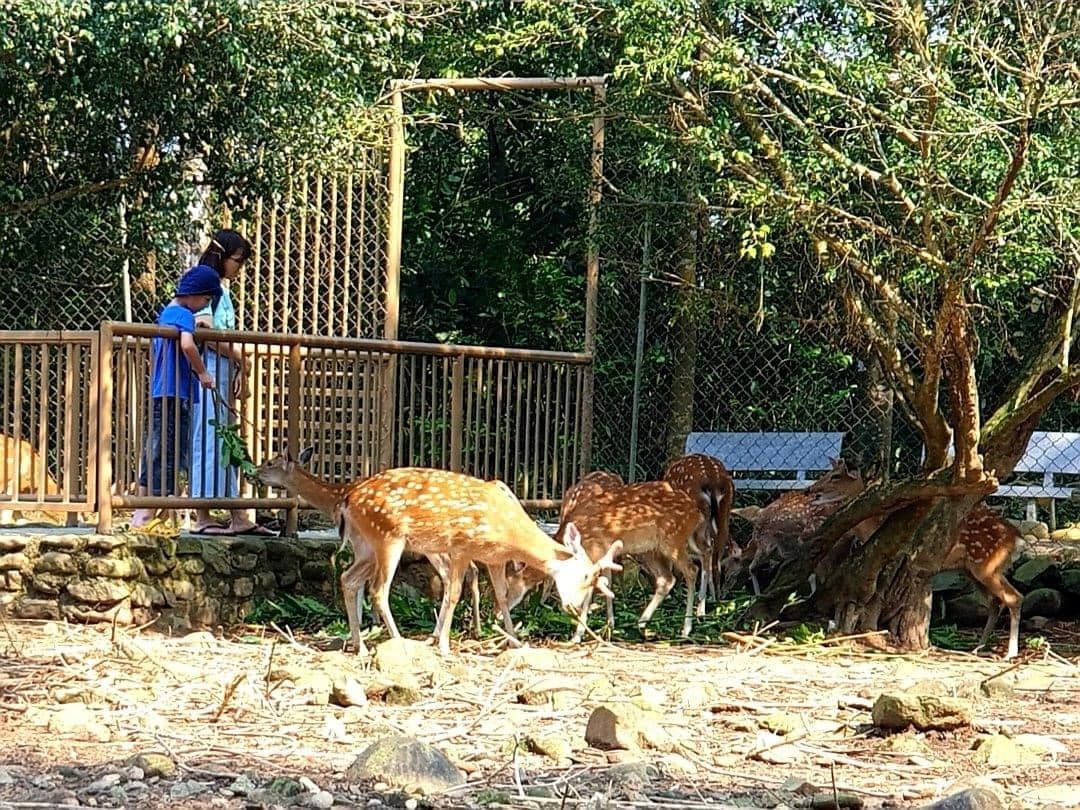 Khám phá thiên nhiên hoang sơ tại các khu bán dã trong khu du lịch