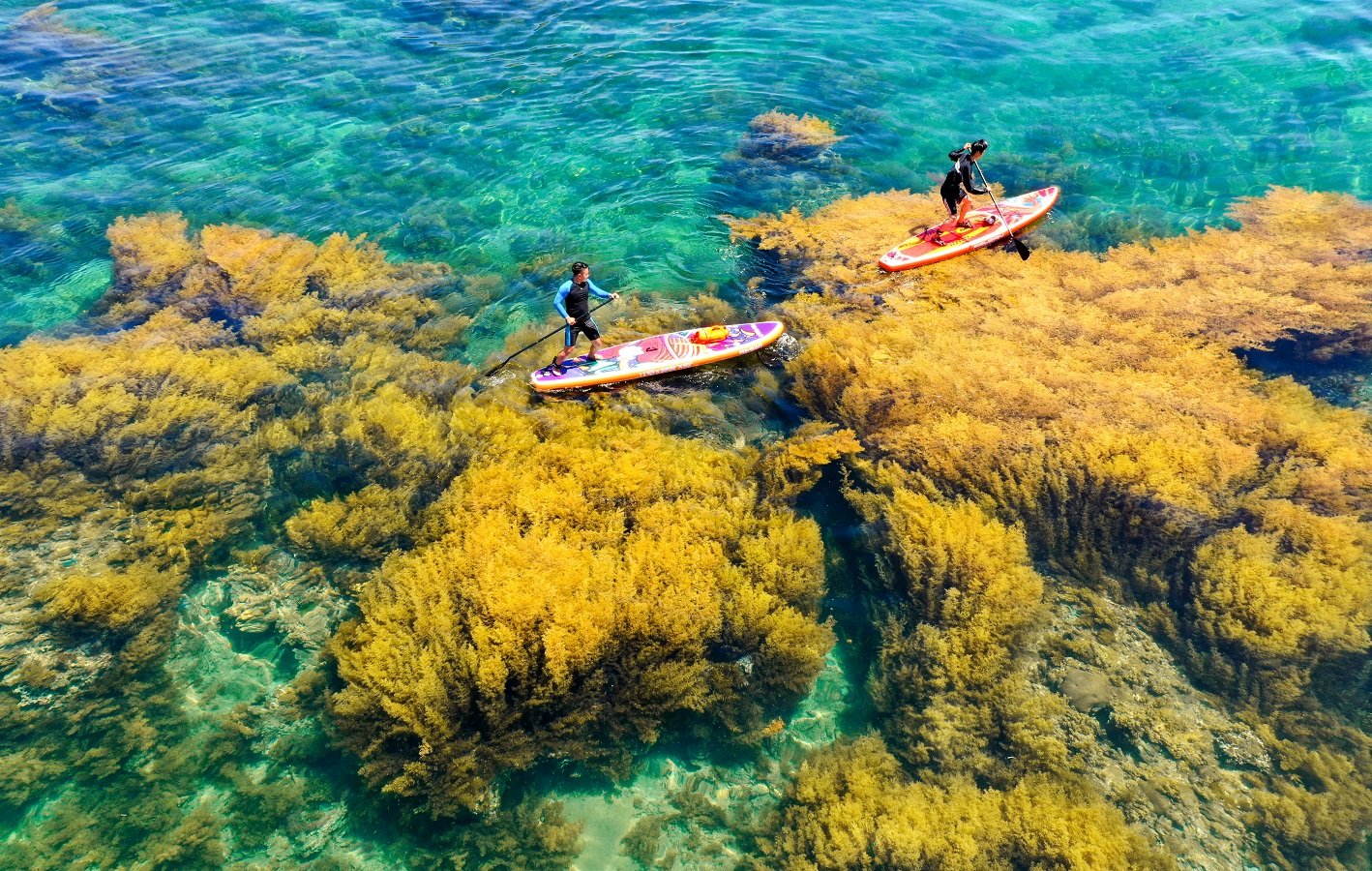 Trọn bộ kinh nghiệm đi tour Quy Nhơn 3 ngày 2 đêm