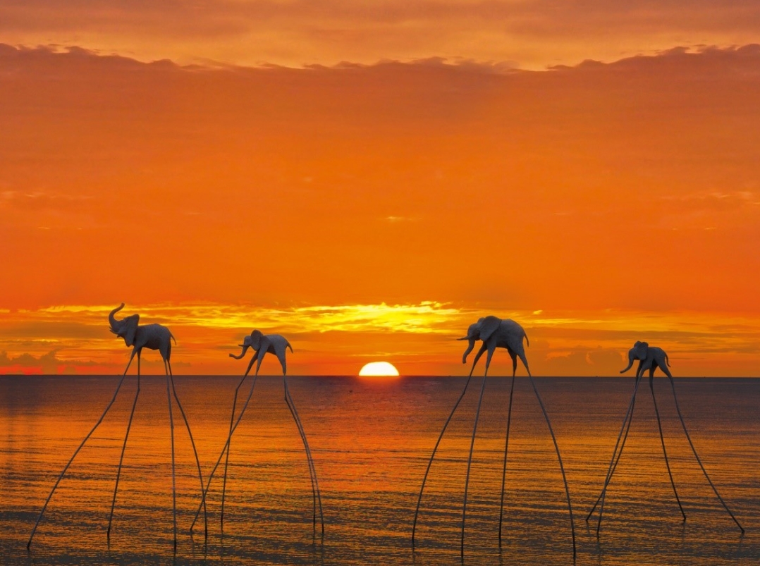 Đàn voi bay nghệ thuật trên bãi biển Sunset Sanato Phú Quốc