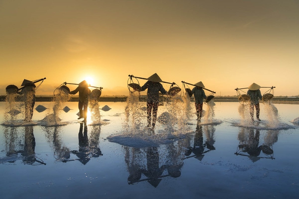 Cánh đồng muối Cà Ná khi nắng lên đẹp như tranh vẽ