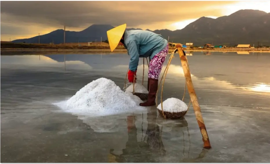 Người dân làm việc không ngơi nghỉ, giữa khung cảnh giản dị mà đậm chất đời thường.