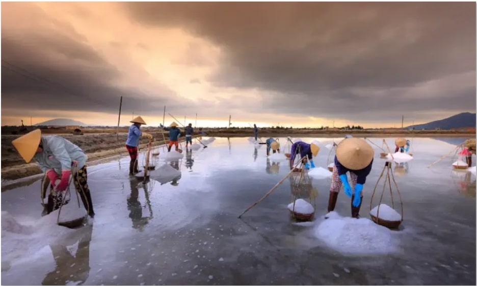 Đôi quang gánh nặng hạt muối trắng tinh, nghiêng nghiêng qua từng ô ruộng lặng im