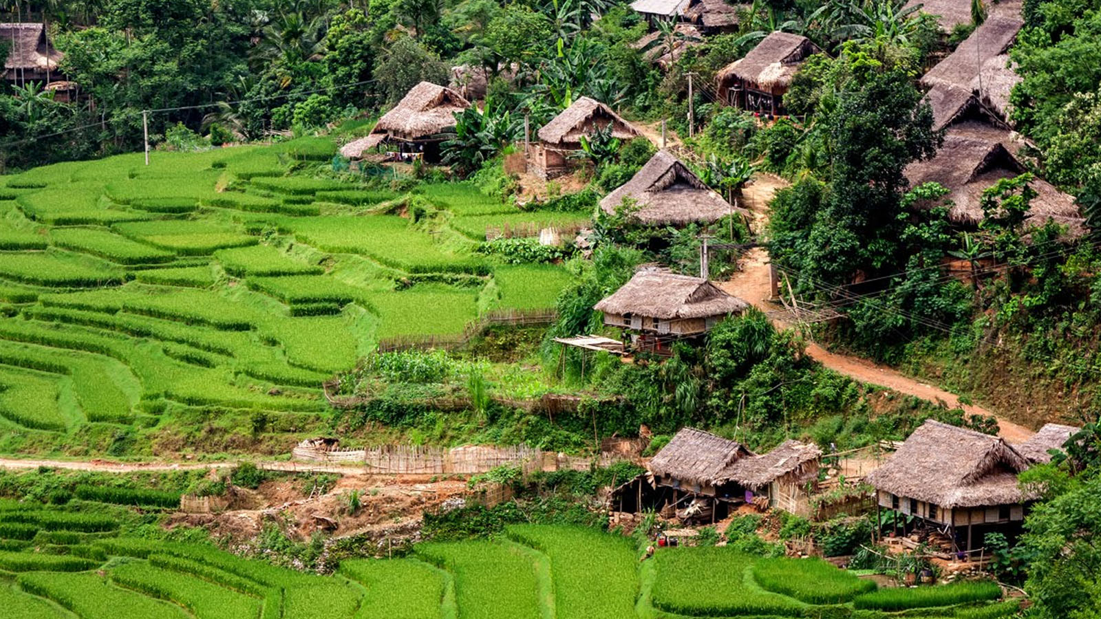 Trải nghiệm văn hóa cộng đồng đặc sắc tại bản Kho Mường