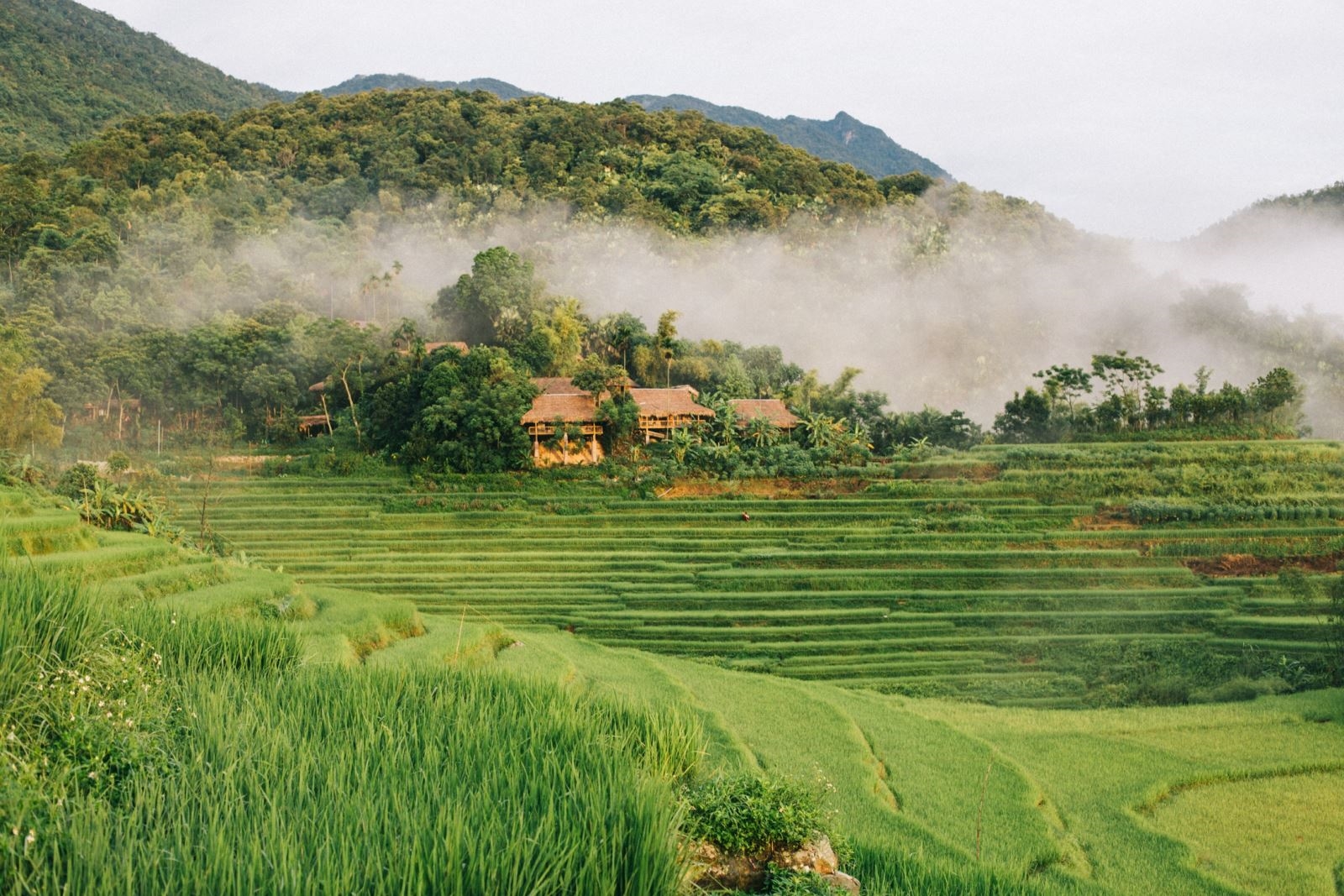 Pù Luông là điểm đến xanh, hấp dẫn tại miền Tây Bắc Thanh Hóa