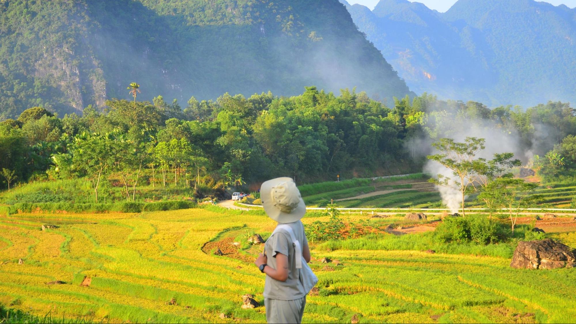Mùa lúa chín là thời điểm đẹp nhất để đi du lịch Pù Luông