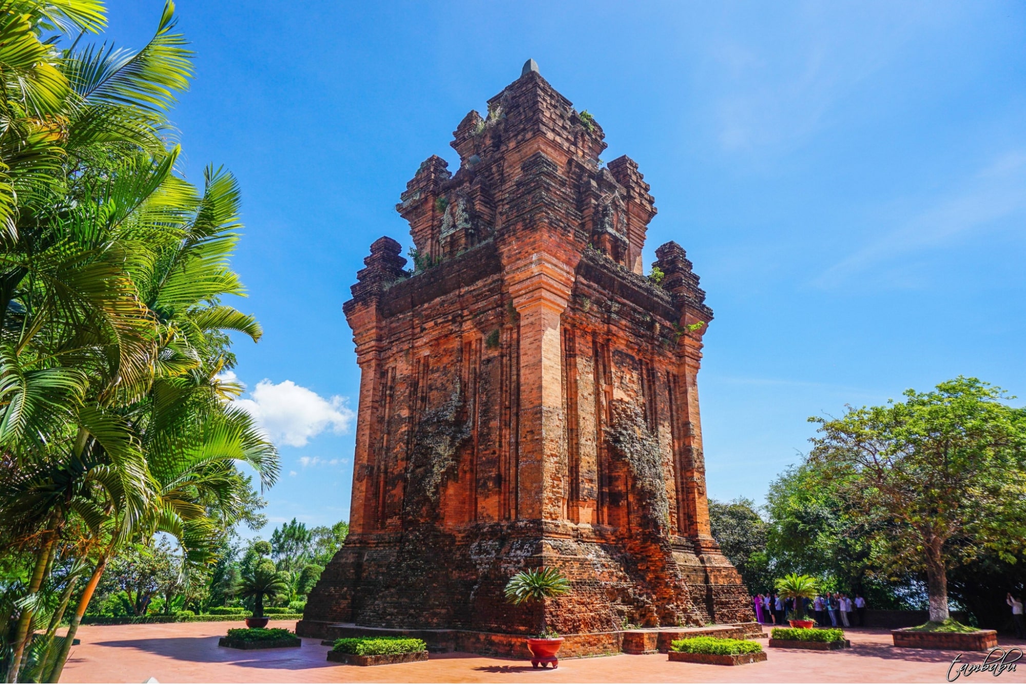 Khuôn viên xanh mát bao quanh tháp Nhạn