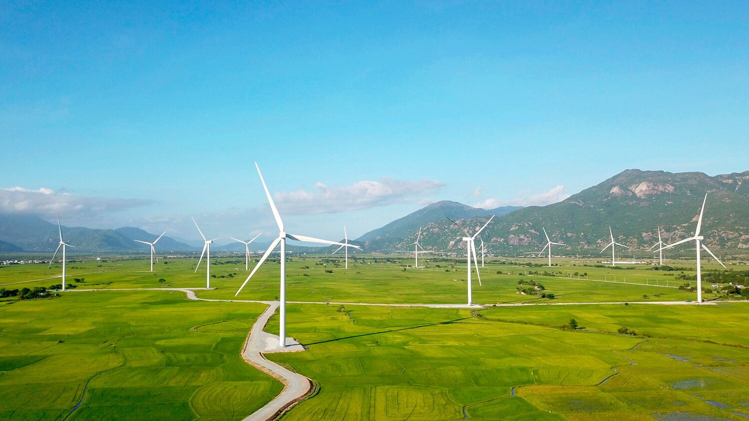 Góc nhìn toàn cảnh điện gió từ xa